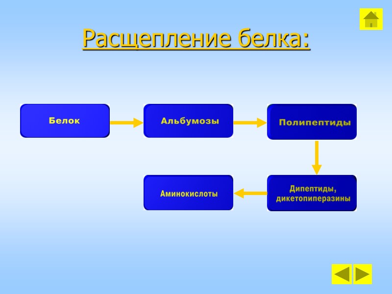 Расщепление белка: